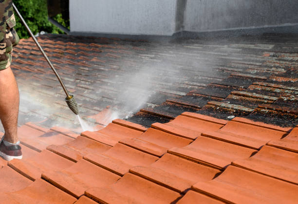 Best Pressure Washing Company Near Me  in Brass Castle, NJ