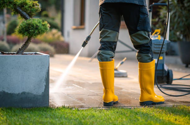 Best Power Washing Near Me  in Brass Castle, NJ
